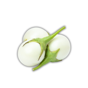 Fresh Thai White Eggplant