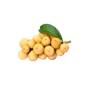 Authentic Thai Long Kong fruit