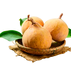 Buy Sweet Santol UK