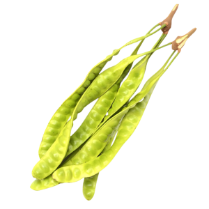 Fresh Thai Lead Tree Young Pods