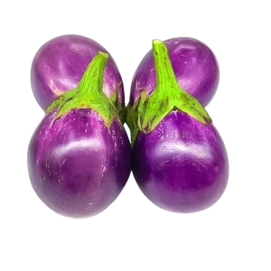 Fresh Thai Blue Eggplant