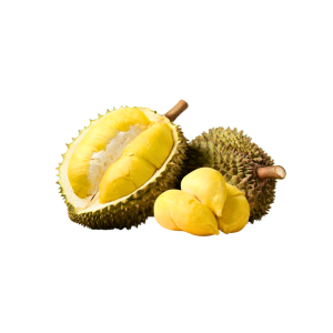 Thai Monthong Durian