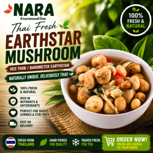Buy Thai Earthstar Mushroom Online UK