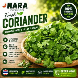 Buy Fresh Thai Coriander Online UK
