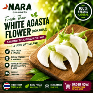 Buy Fresh Thai White Agasta Flowers Online UK