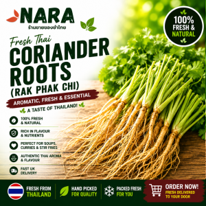 Buy Fresh Coriander Roots Online UK
